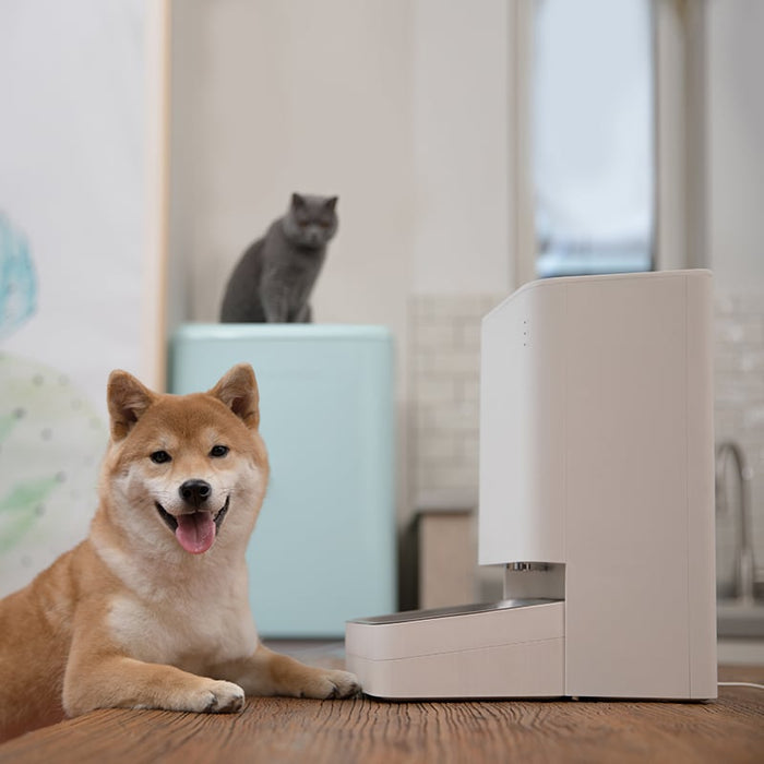 Xiaomi Smart Pet Food Feeder EU-4