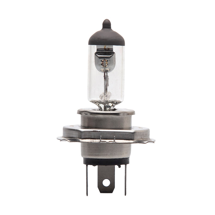 H4 Halogen Bulb