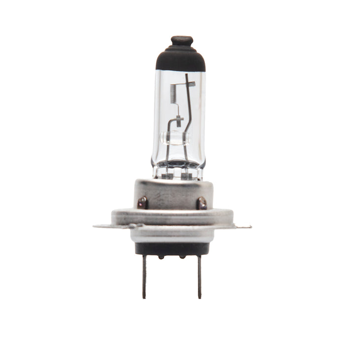 H7 Halogen Bulb