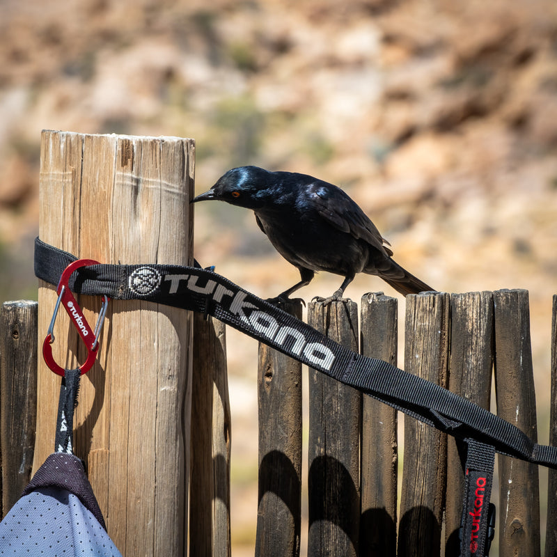 Turkana Two-Timers S-Carabiner