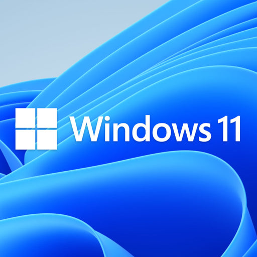 Microsoft Windows 11 Pro DSP-1